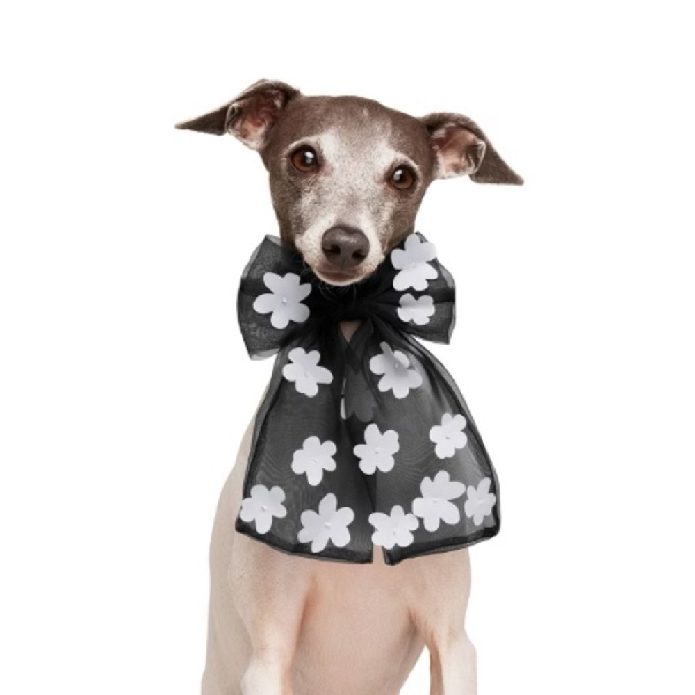NWT Target x The Cuddle Collab Pet Collar Slide, Sheer Black with White Flowers